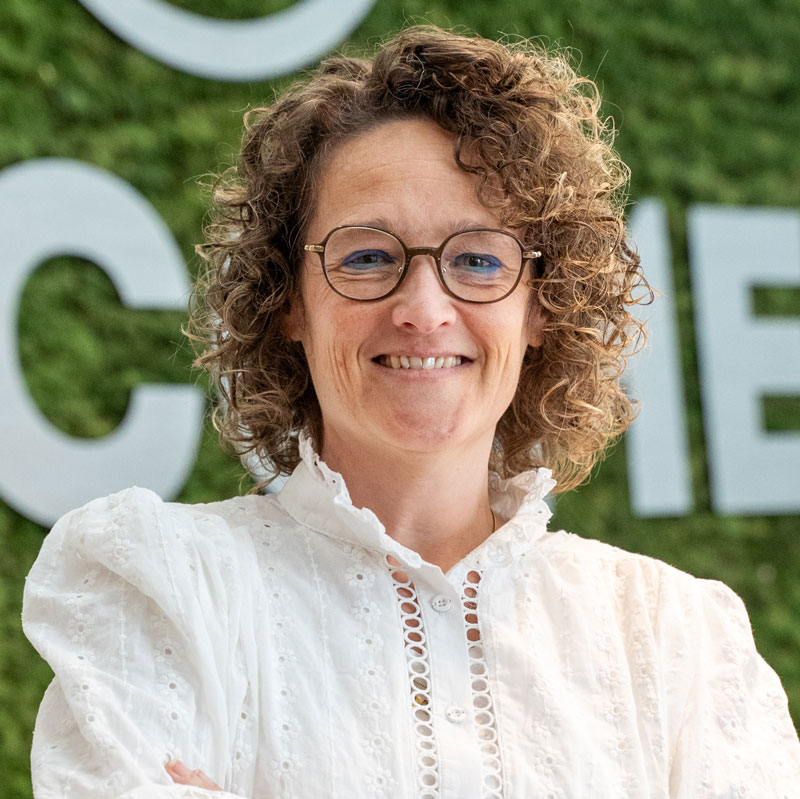 Sandra, Bercomex