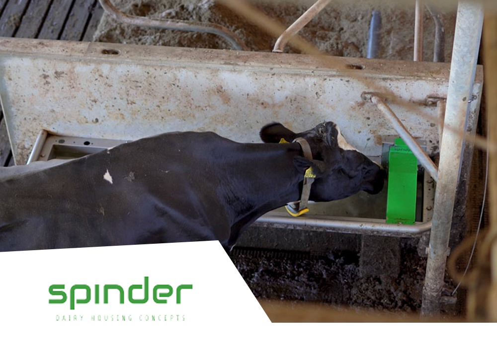 Spinder customer story
